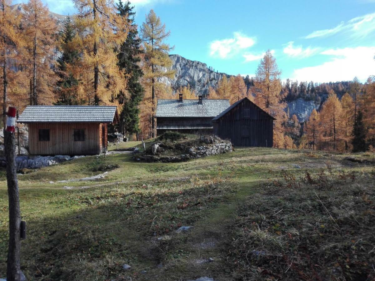 Ferienwohnung Wohlfahrter Bad Mitterndorf Eksteriør bilde